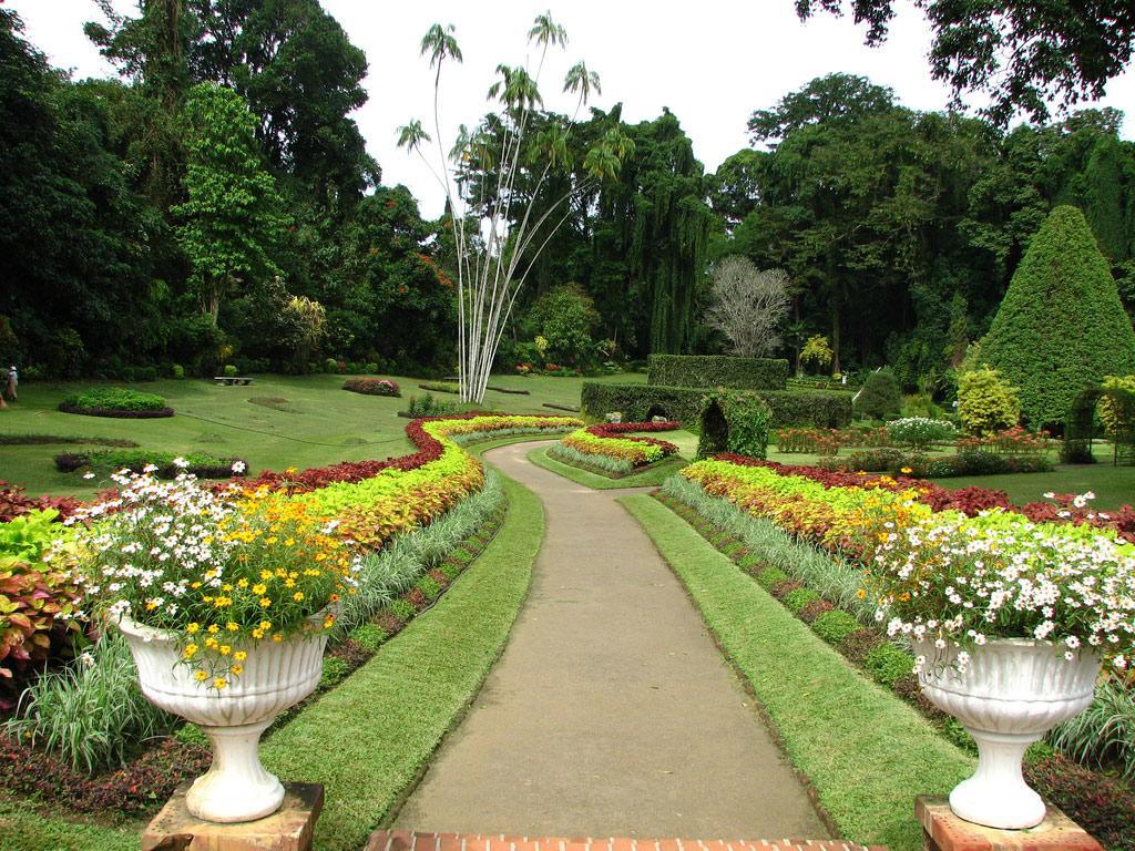 Apple Sara Home Stay Kandy Exterior photo